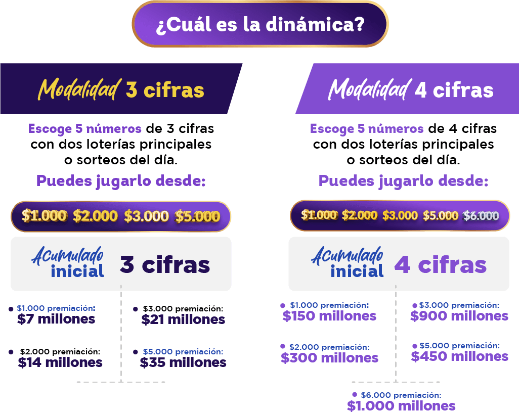 Recurso 11BAJA